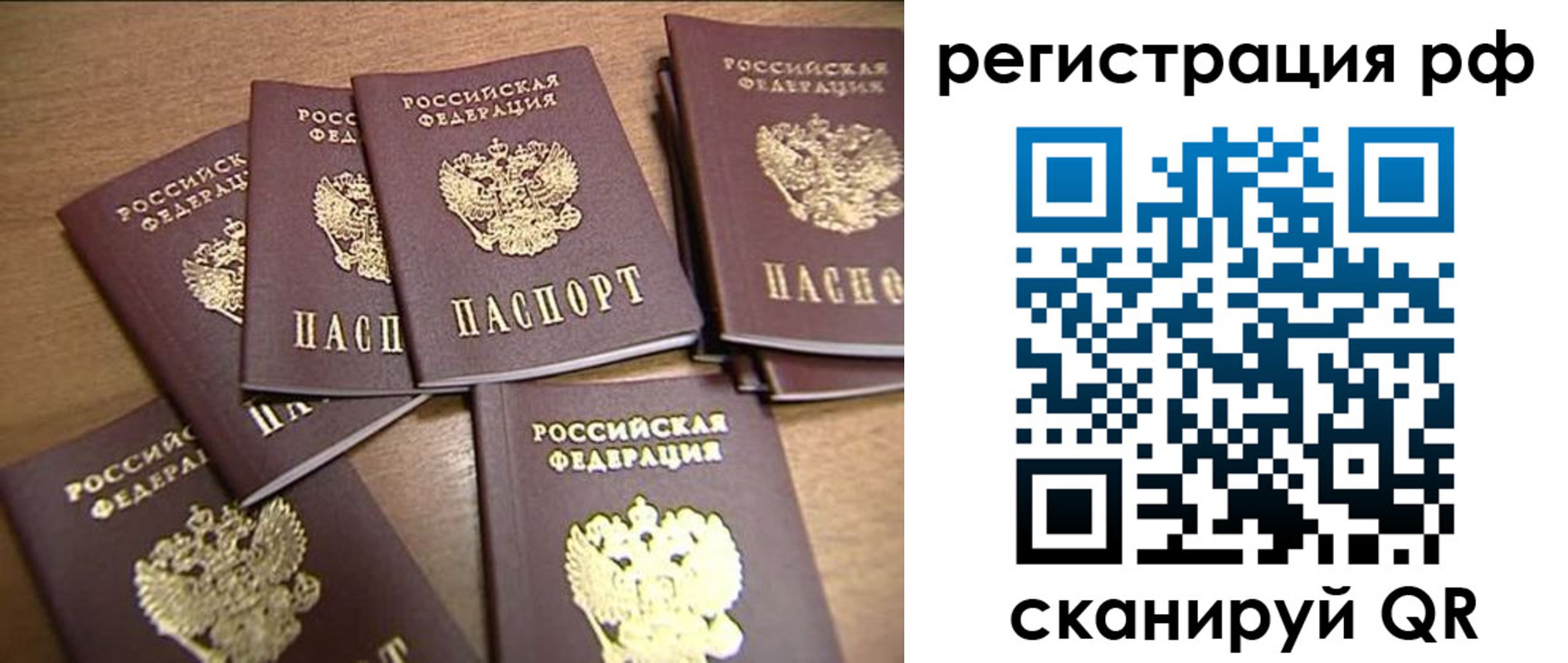 временная регистрация недорого в Мончегорске